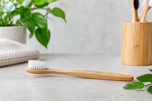 How Long Is a Bamboo Toothbrush Lifespan?