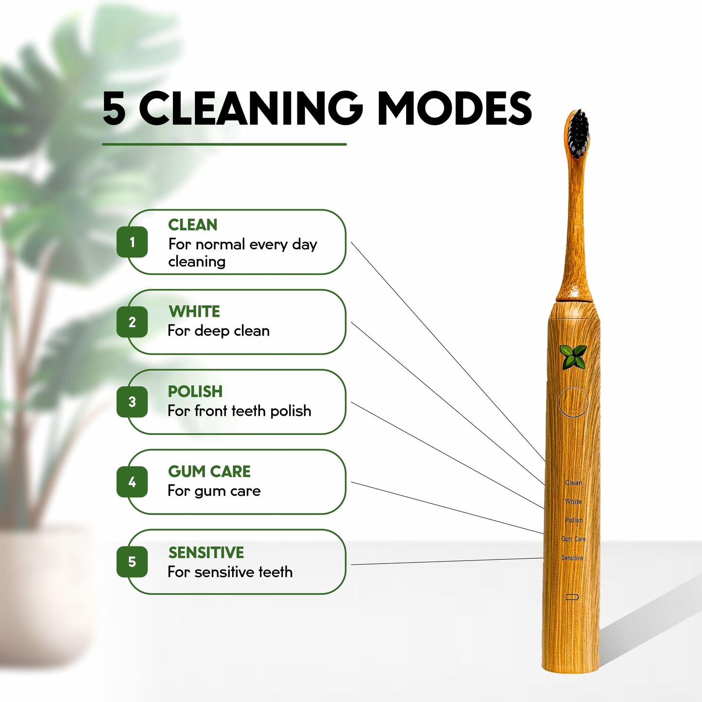Back to Nature Bamboo Electric Toothbrush